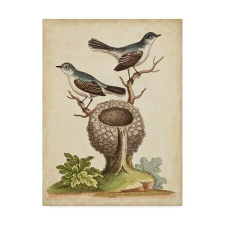 Trademark Fine Art George Edwards 'Natural Habitat Ii' Canvas Art, 24x32 WAG05324-C2432GG